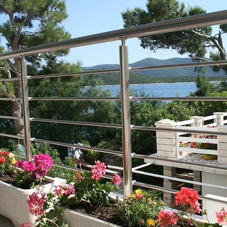 Tamaris クレック